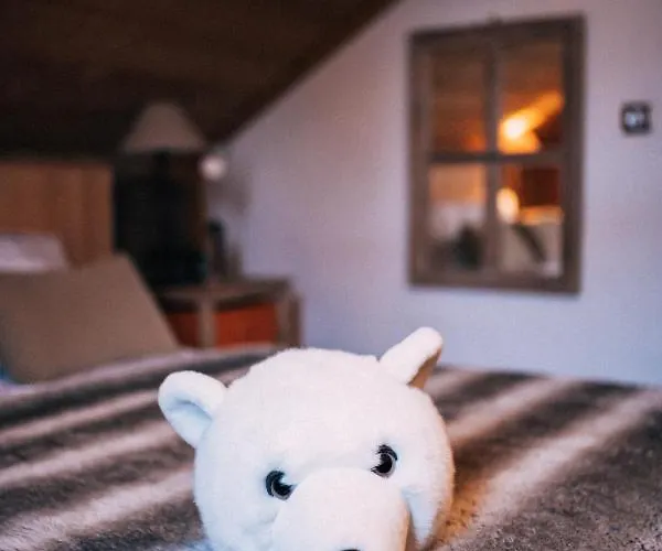 La Brunette Alpehytte Megève